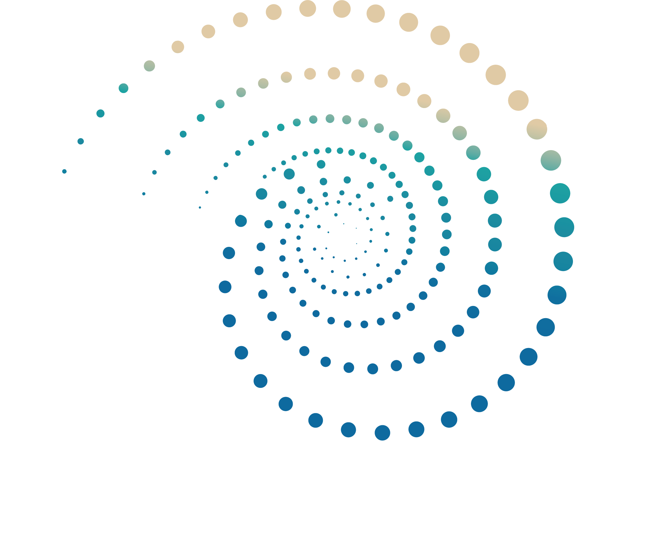 Rhythms by the Sea